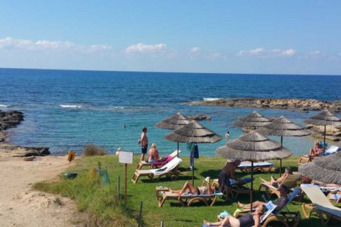 Estudio Villa en Paphos,  No. 38562 14