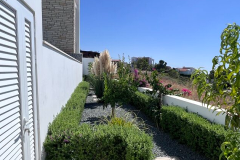3 dormitorios Villa en Paphos, No. 54090 15