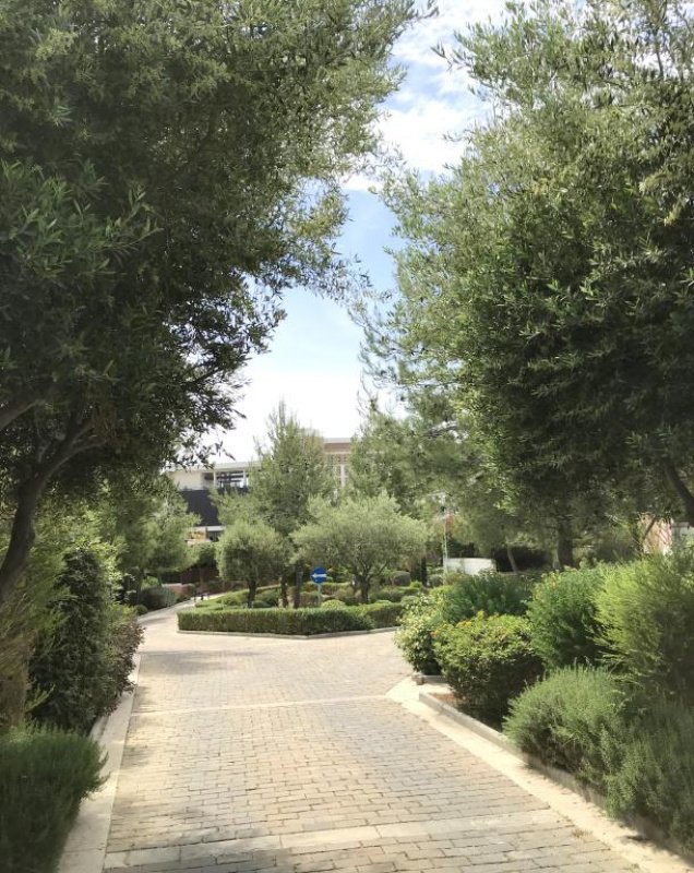 2 bedrooms Apartment in Limassol, Cyprus No. 38662