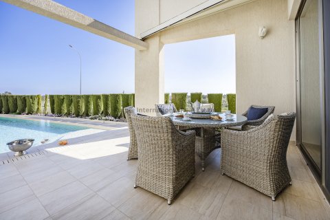 7 dormitorios Villa en Ayia Napa, Ammochostos, No. 36209 14