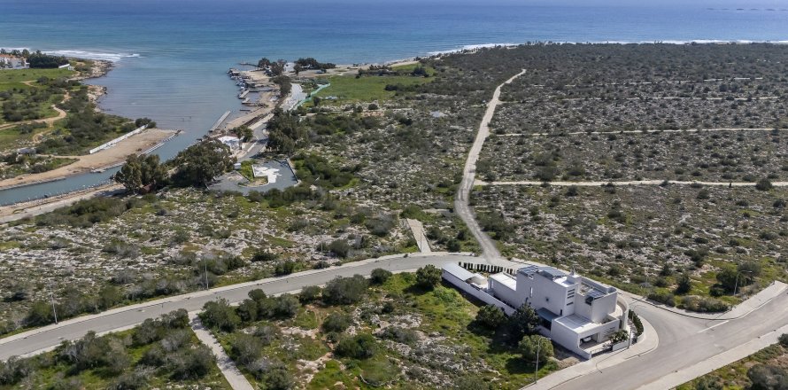 7 dormitorios Villa en Ayia Napa, Ammochostos, No. 36209