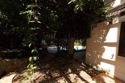 Вилла с 4 спальнями в Тала, Пафос,  № 56601 24