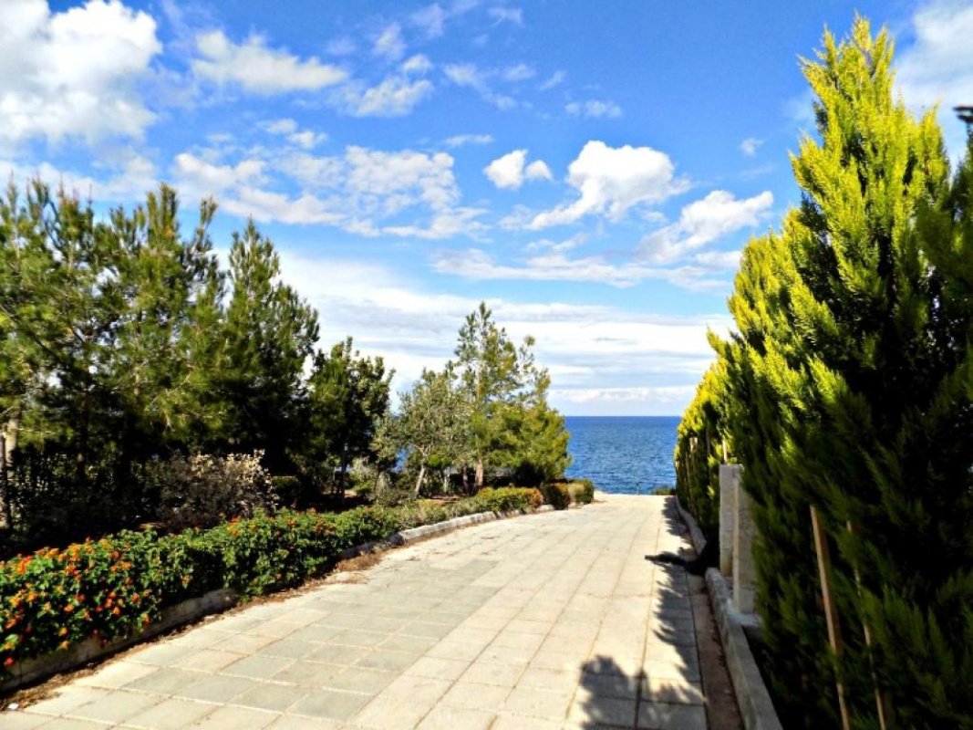 Studio Villa in Paphos, Cyprus No. 37986