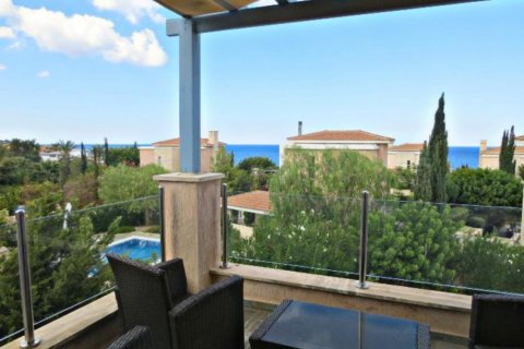 Studio Villa in Paphos,  No. 37986