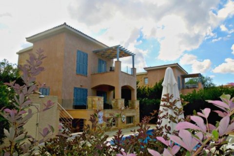 Studio Villa in Paphos,  No. 37986 7
