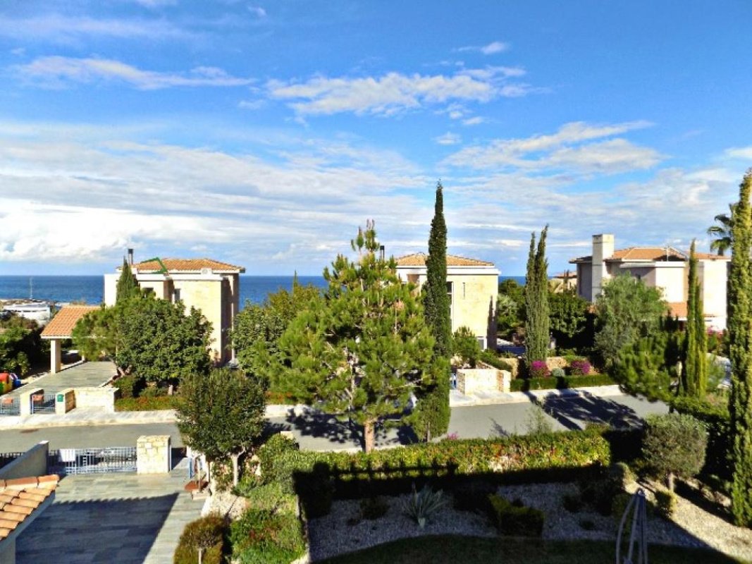 Studio Villa in Paphos, Cyprus No. 37986