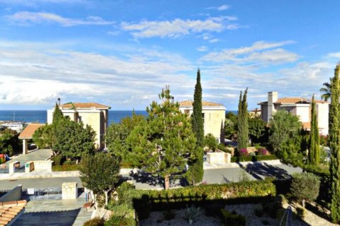 Studio Villa in Paphos,  No. 37986 10