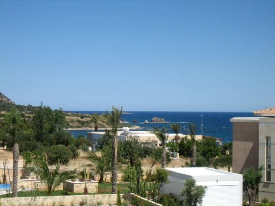 Studio Villa in Paphos, Cyprus No. 37986