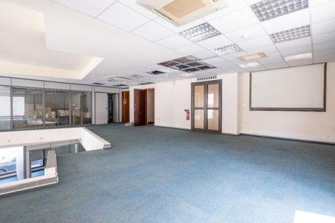 1060m2 Propriété commerciale à Nicosia, No. 37985 10