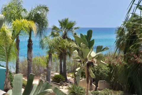 Вилла с 3 спальнями в Айя Напа, Аммохостос, № 51187 5