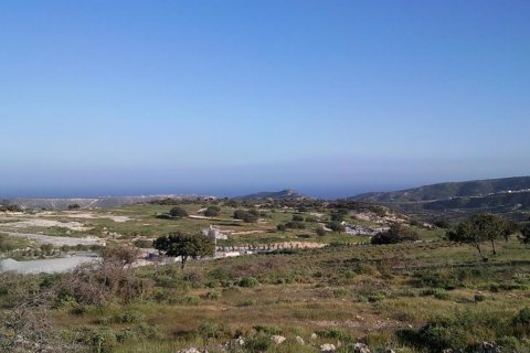 19250m2 Terrain à Pissouri, Limassol, Chypre No. 25799
