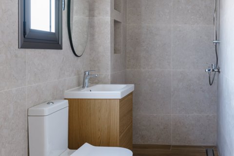 6 bedrooms Townhouse in Nicosia,  No. 46308 21