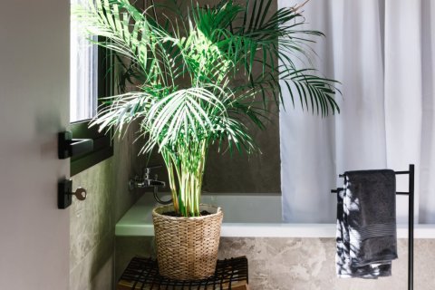 6 bedrooms Townhouse in Nicosia,  No. 46308 26