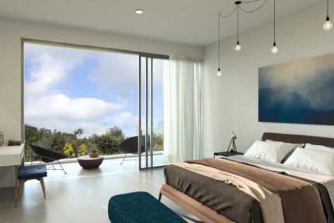 Вилла с 3 спальнями в Пафос, № 38378 13