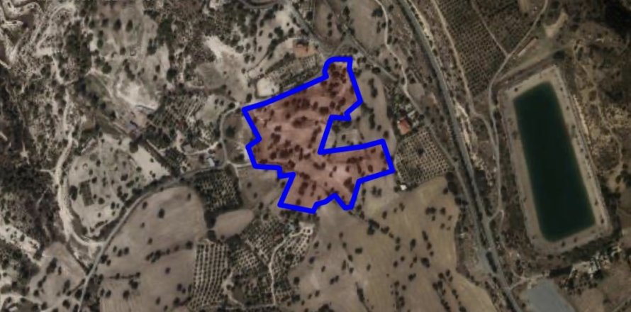 27800m2 Land in Choirokoitia, Larnaka, No. 40010