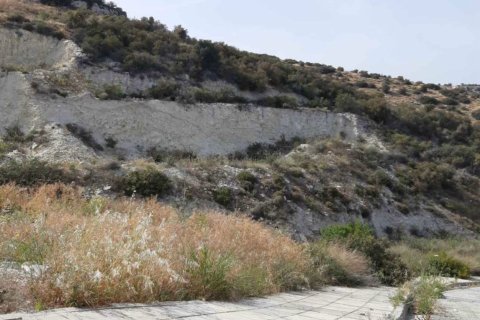 Земельный участок 5130м2 в Агиос Тихонас, Лимасол,  № 46218 2