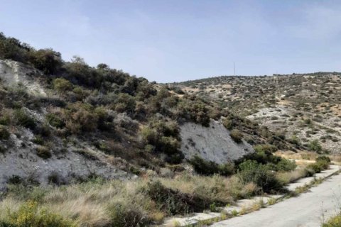 Земельный участок 5130м2 в Агиос Тихонас, Лимасол,  № 46218 5