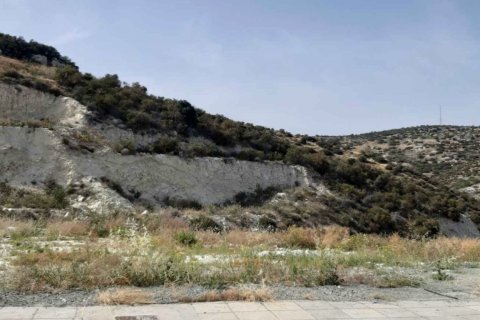 Земельный участок 5130м2 в Агиос Тихонас, Лимасол,  № 46218 3