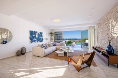 Вилла с 4 спальнями в Пафос,  № 39156 2