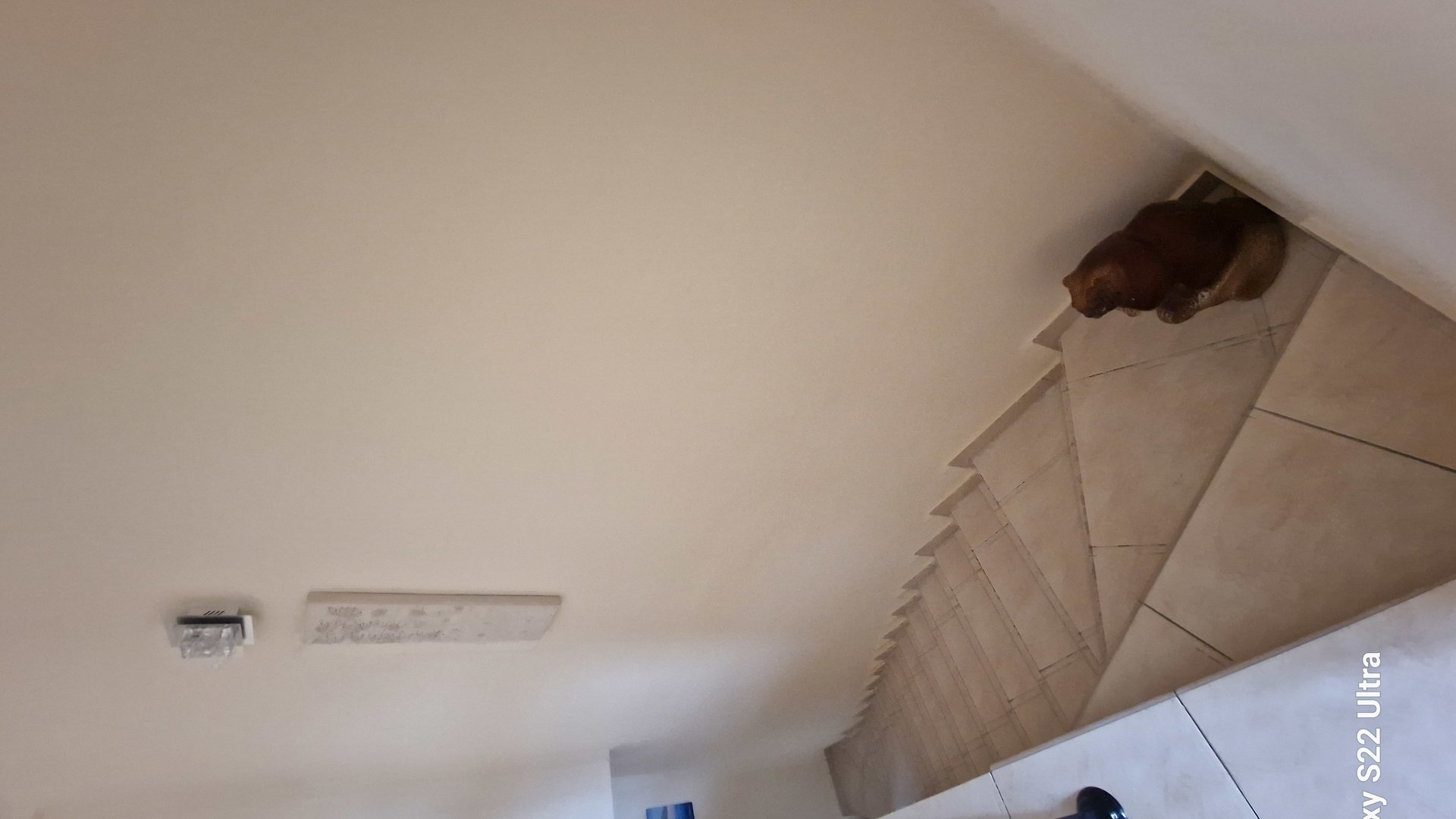 2 bedrooms Townhouse in Pegeia, Paphos, Cyprus No. 27006