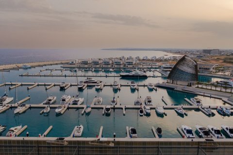 5 bedrooms Penthouse in Ayia Napa, Ammochostos,  No. 45899 6