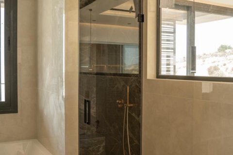 5 chambres Villa à Agios Athanasios, Limassol,  No. 49367 22