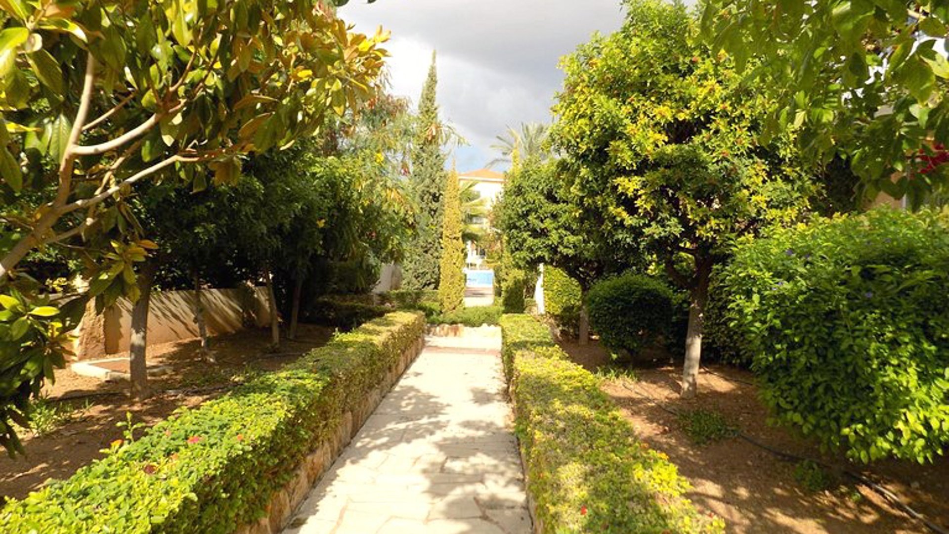 2 chambres Maison de Ville à Anarita, Paphos, Chypre No. 30531