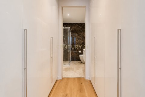 Дуплекс с 2 спальнями в Меса Гитонья, Лимасол,  № 53655 8