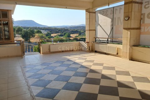 Кафе / ресторан 550м2 в Парамитха, Лимасол,  № 53657 4