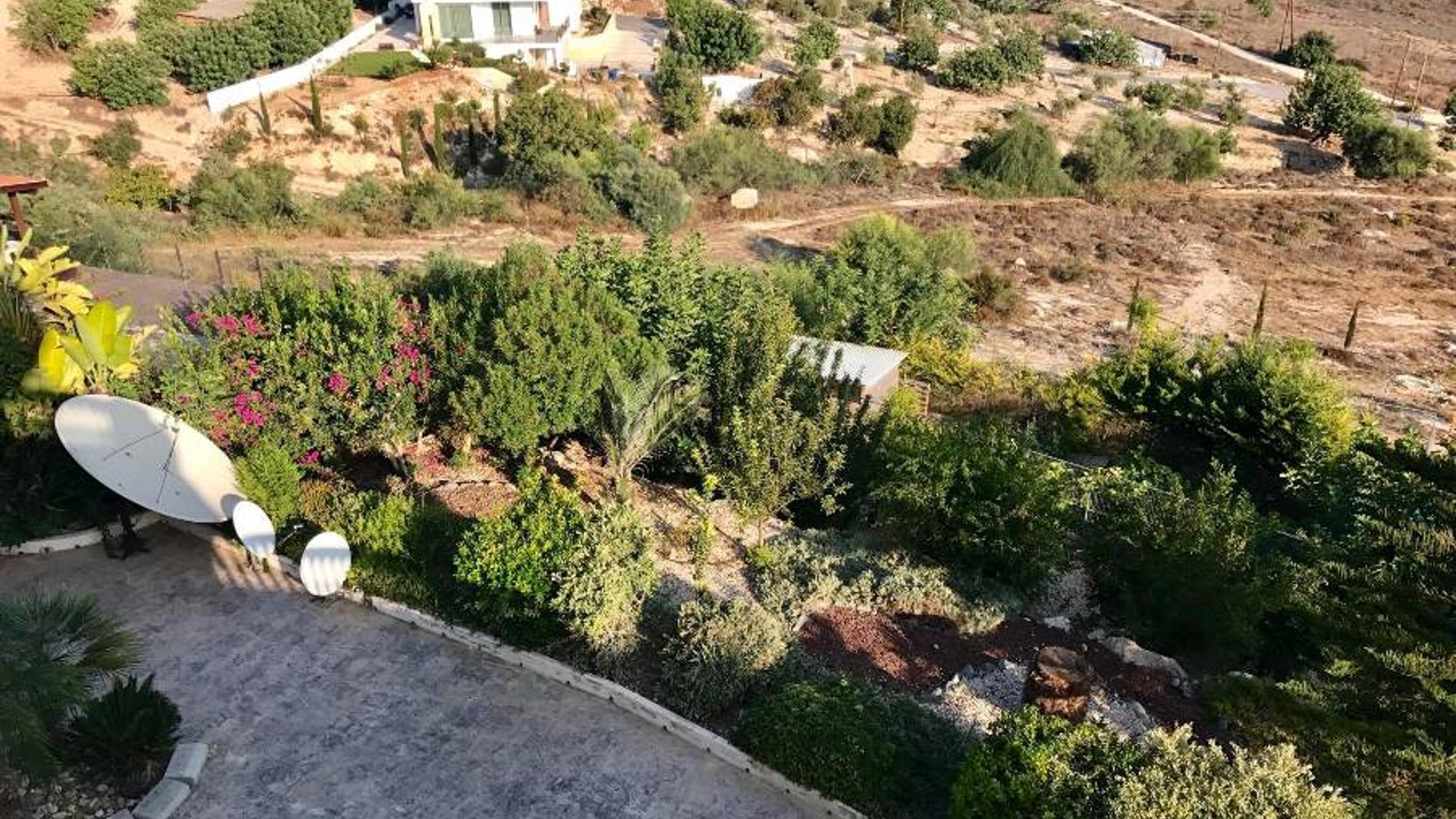 5 bedrooms Villa in Tala, Paphos, Cyprus No. 25722