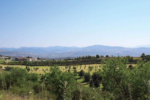 Studio Villa à Paphos,  No. 38350 4