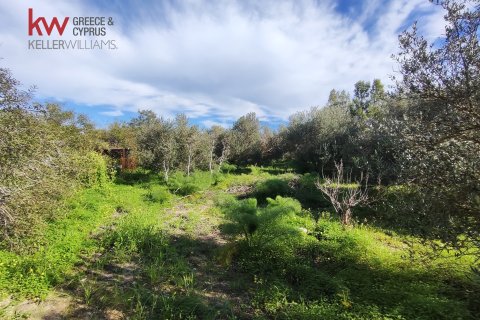 6188m2 Land in Agios Theodoros, Larnaka,  No. 40576 8