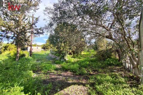 6188m2 Land in Agios Theodoros, Larnaka,  No. 40576 3