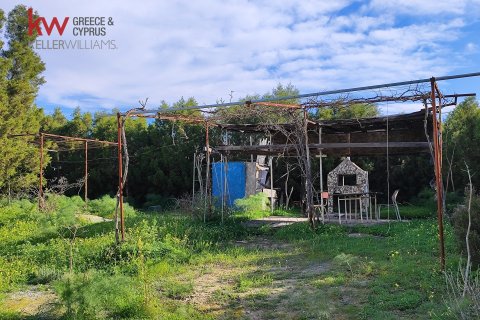 6188m2 Land in Agios Theodoros, Larnaka,  No. 40576 5