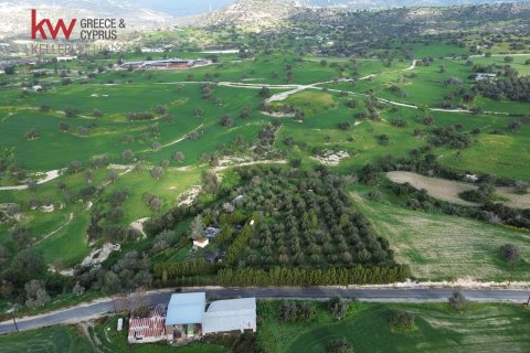 6188m2 Land in Agios Theodoros, Larnaka,  No. 40576 9
