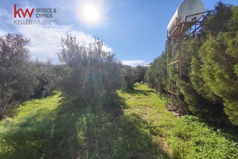 6188m2 Land in Agios Theodoros, Larnaka,  No. 40576 6