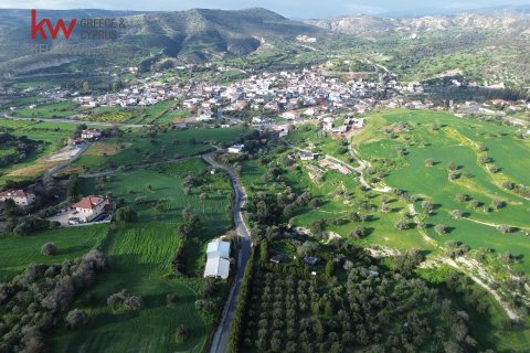 6188m2 Land in Agios Theodoros, Larnaka,  No. 40576 2