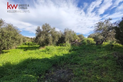 6188m2 Land in Agios Theodoros, Larnaka,  No. 40576 7