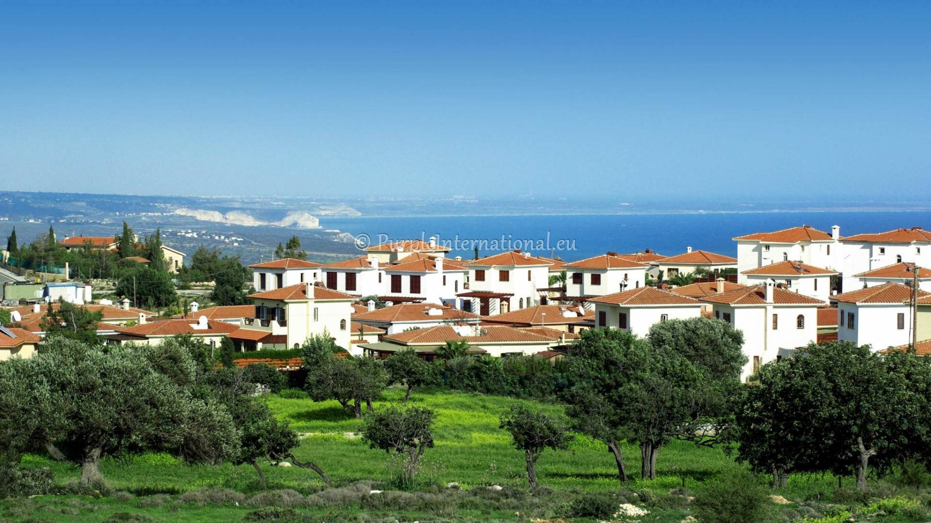 Villa for sale in Pissouri, Limassol, Cyprus by Purple International 3